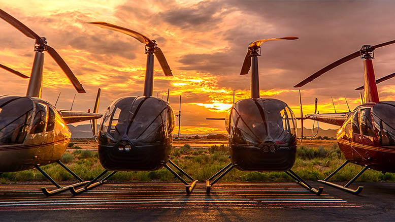 Atlanta Helicopter Aerial Fleet