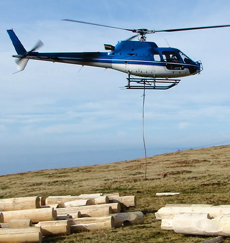 Atlanta Helicopter Logging